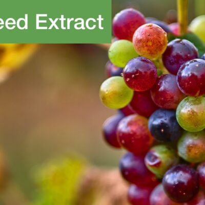 Grape seed extract