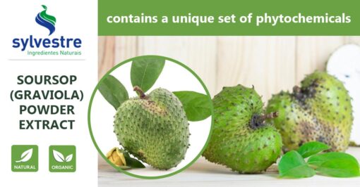 Soursop fruit (Graviola)